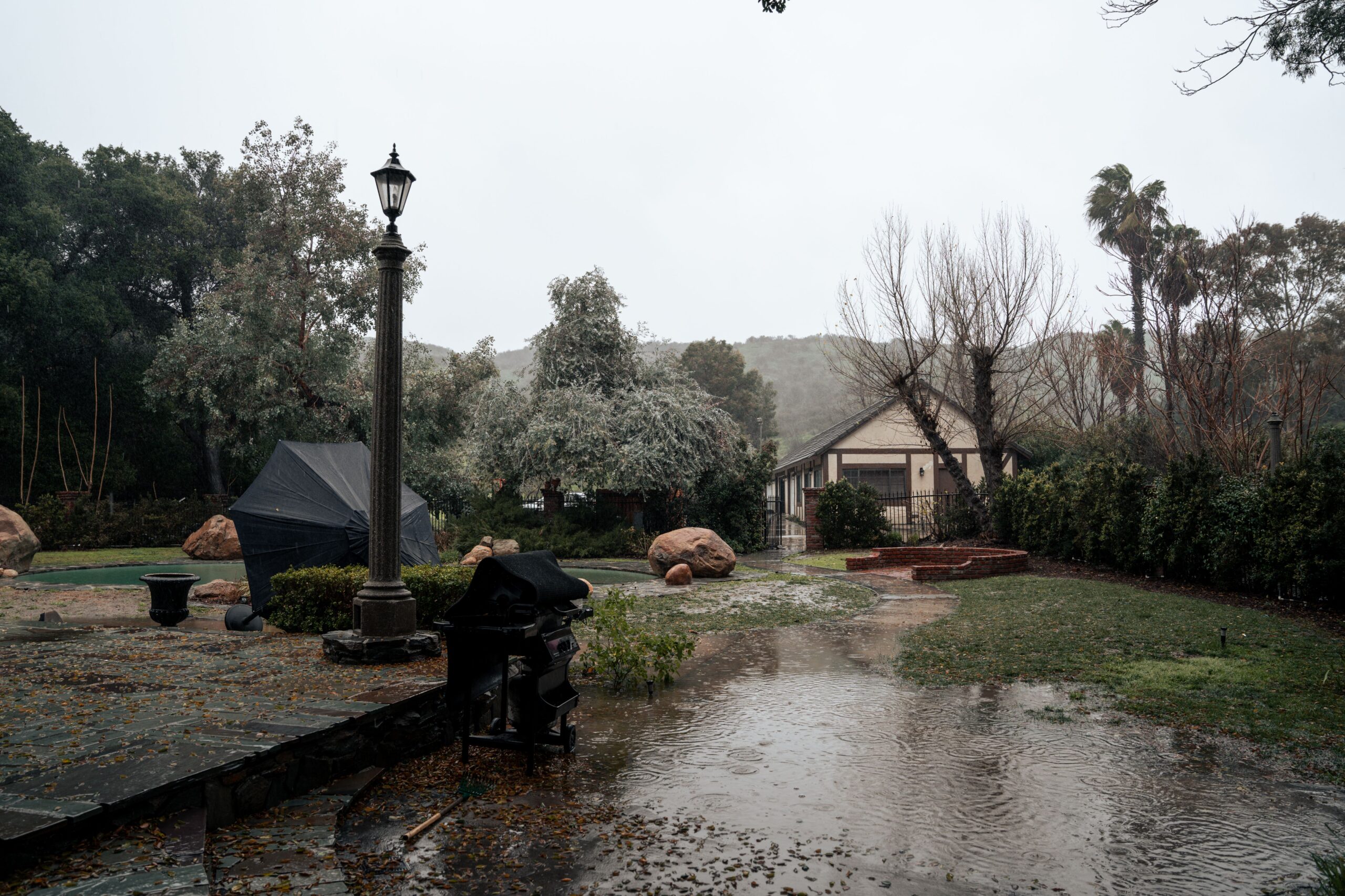 Flood Backyard Photo